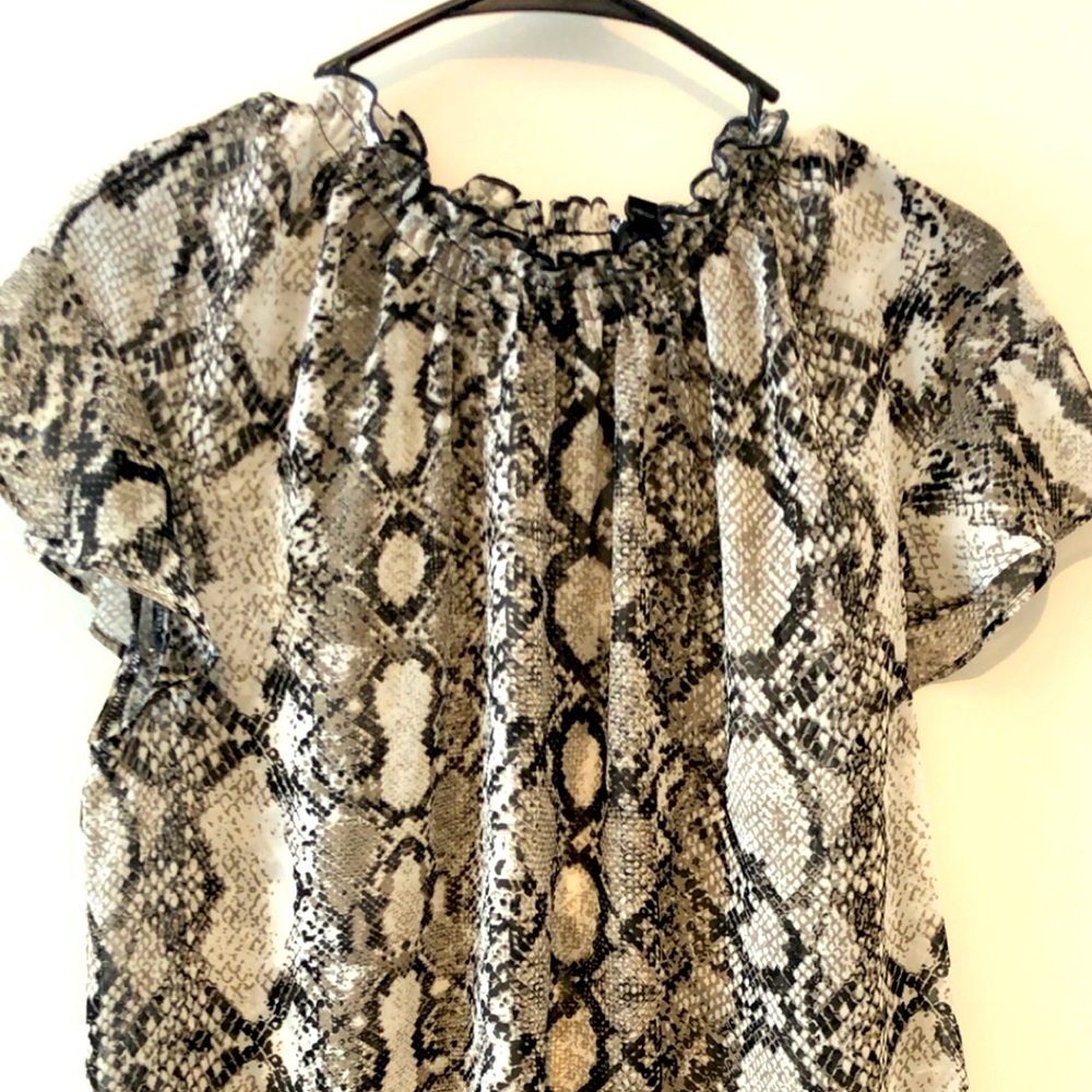 Express sheer blouse